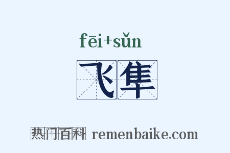 飞隼是什么意思的图片